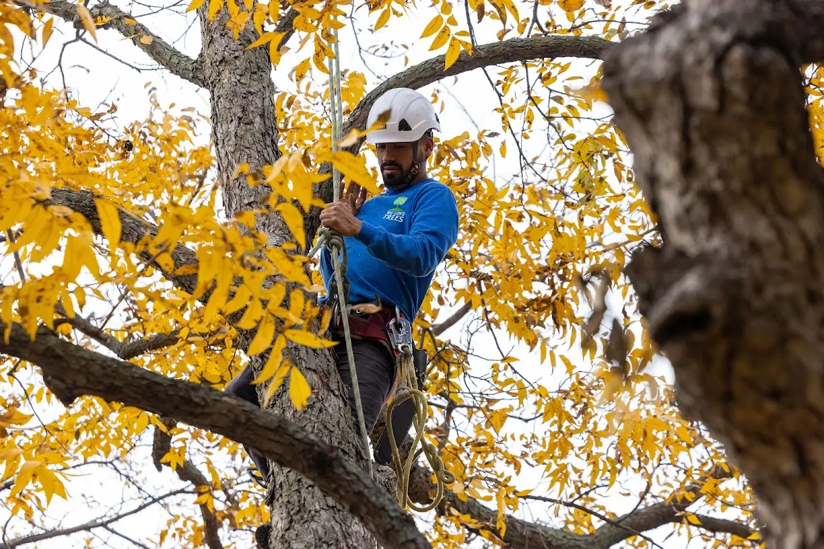Skilled Storm Damage Cleanup crew working in Geneva